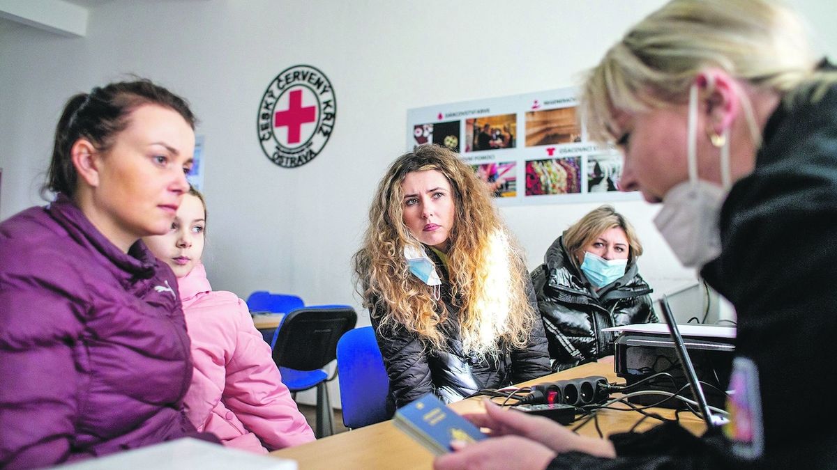 K lékařům v Česku přicházejí těhotné Ukrajinky i lidé s vysokým tlakem